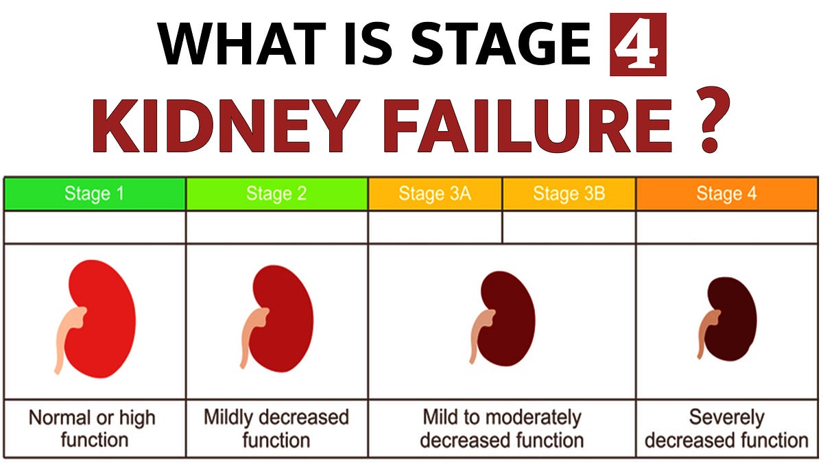 What is Stage 4 Kidney Failure. Choose Ayurveda to cure stage 4 CKD and ...