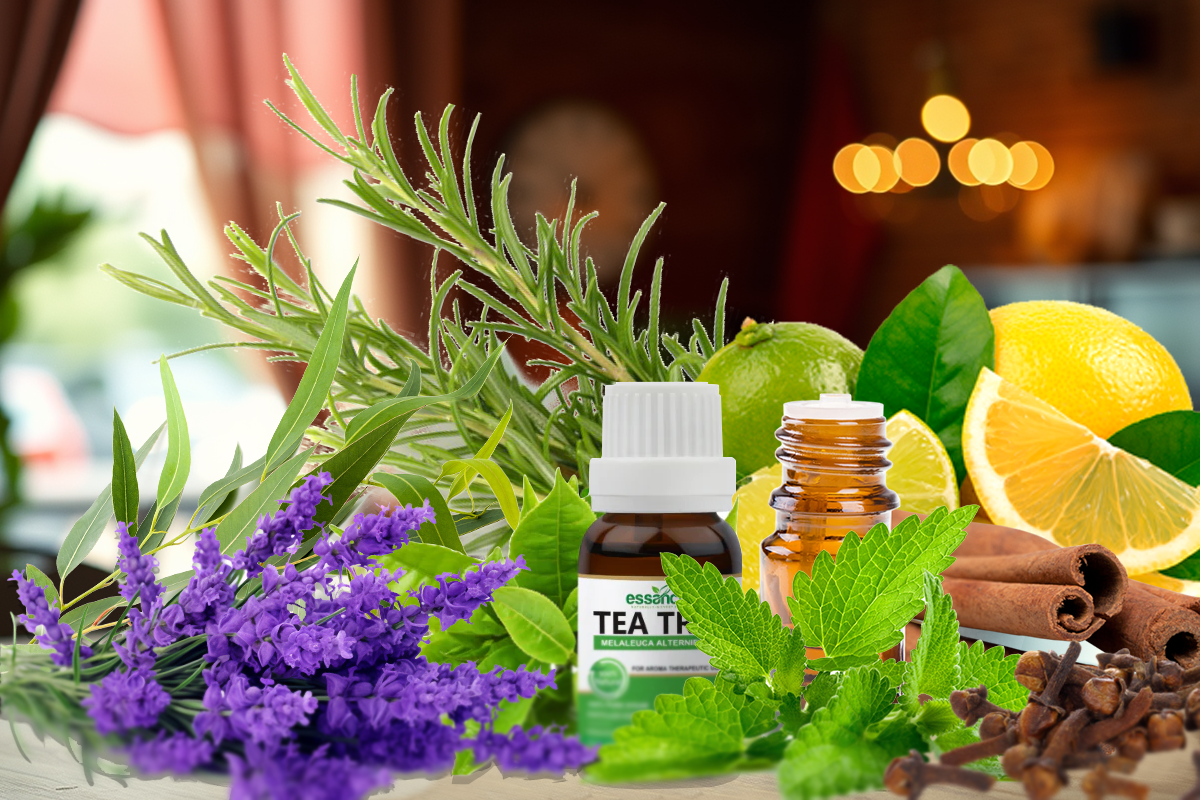 REPEL BED BUG INSECT USING SCENTED OIL by Jaysonrebojo Oct, 2024