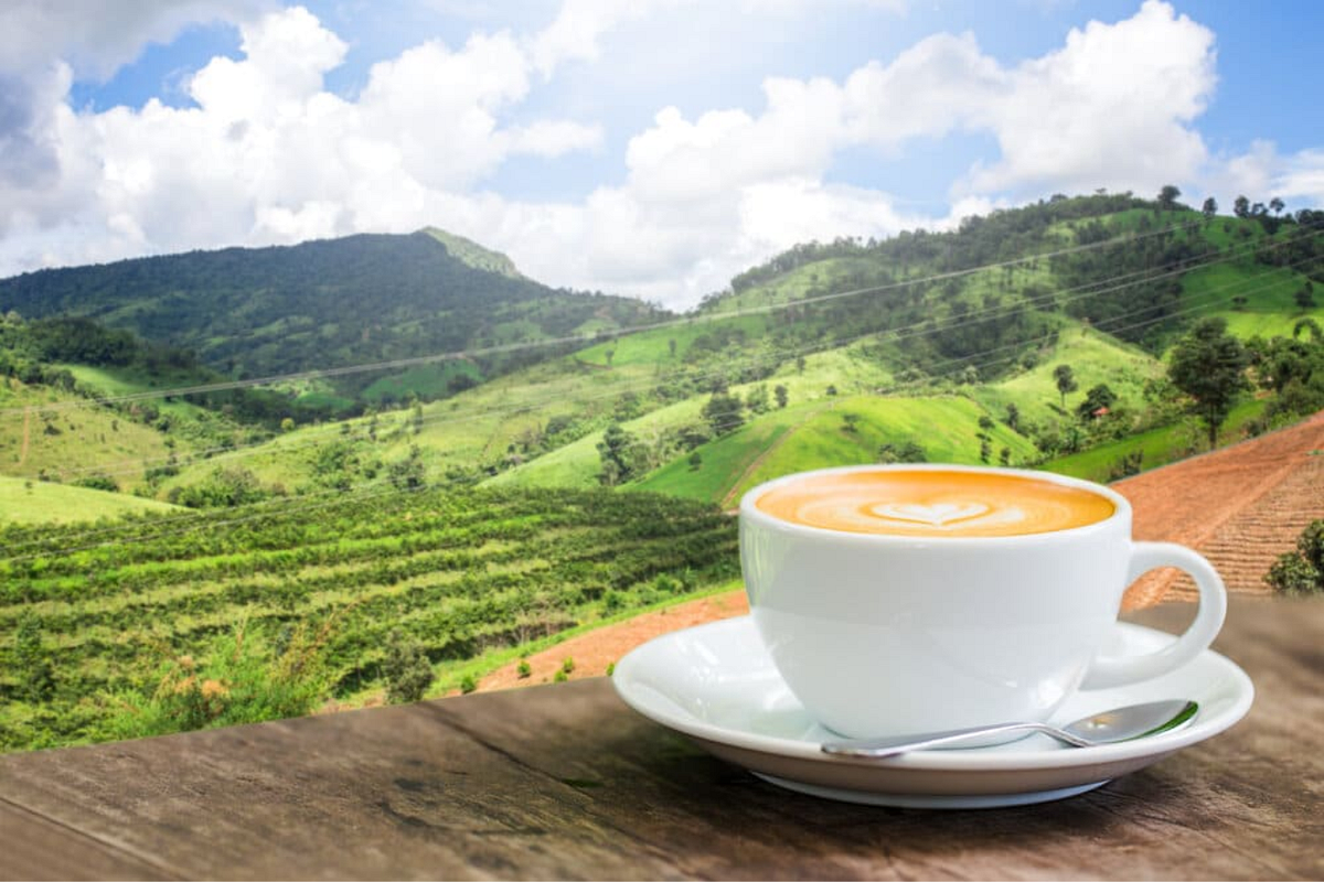 Best Coffee in High Altitude. Height above sea level, or altitude, is