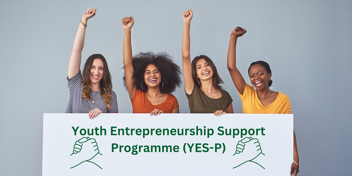 Empowering the Future: The Youth Entrepreneurship Support Programme | by  Sohit Kumar | Medium