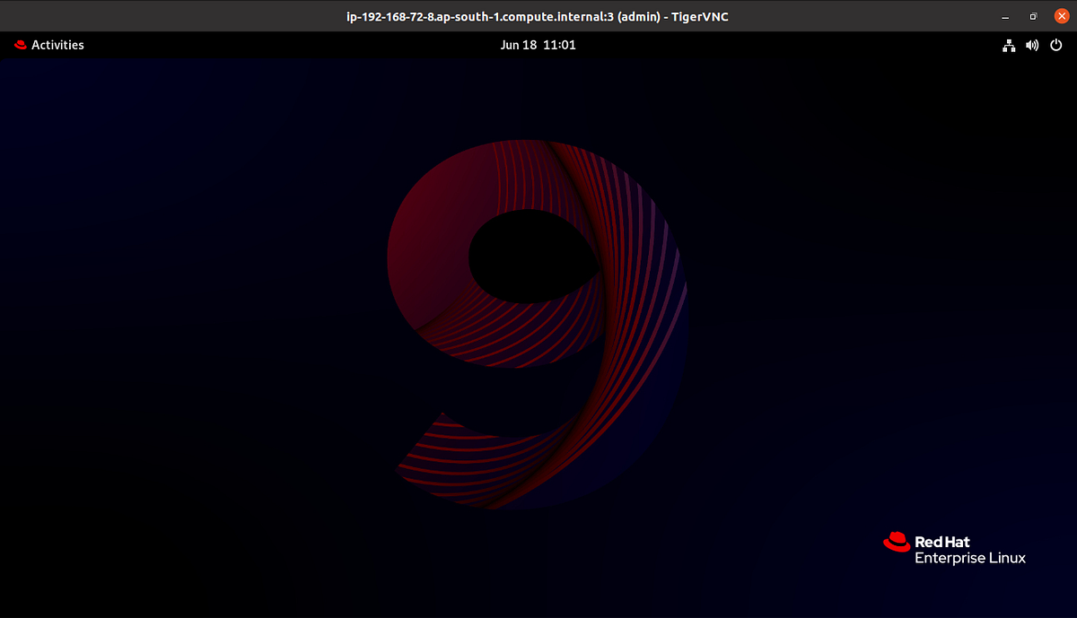 Enabling GUI and Install VNC Server on Red Hat Linux Server (RHEL) 9 ...