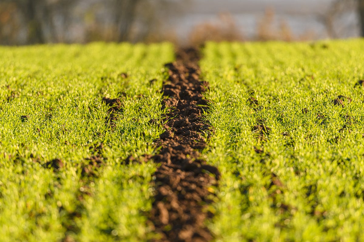 preserving-our-foundation-the-importance-of-soil-conservation-by