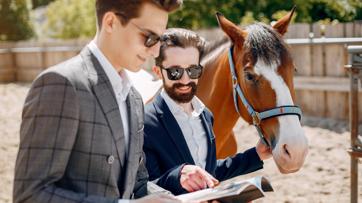 How to Write Horse Boarding Business Plan? Guide & Template by Ivan
