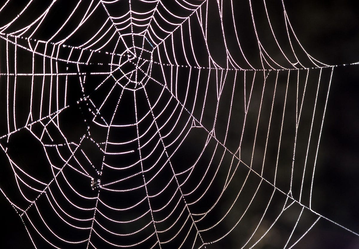 Spider Silk from The Marvel Super Spiders — The Strongest of All Fibers