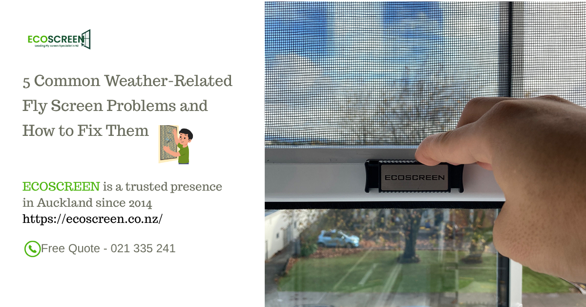 5 Common Weather-Related Fly Screen Problems and How to Fix Them