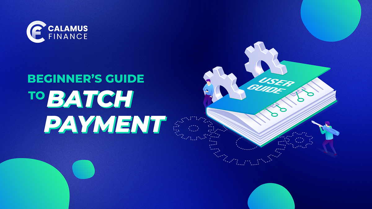 Beginner’s Guide to Batch Payment Medium