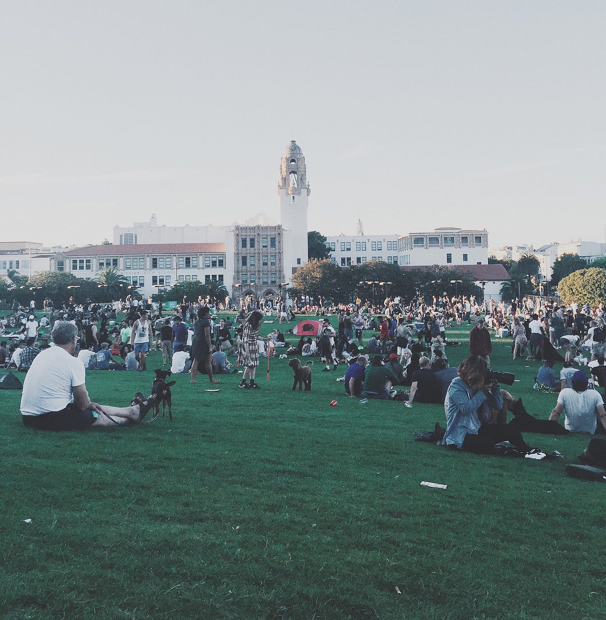 Cosmopolitan Canopy. One might think that diversity is a… by Wiridya