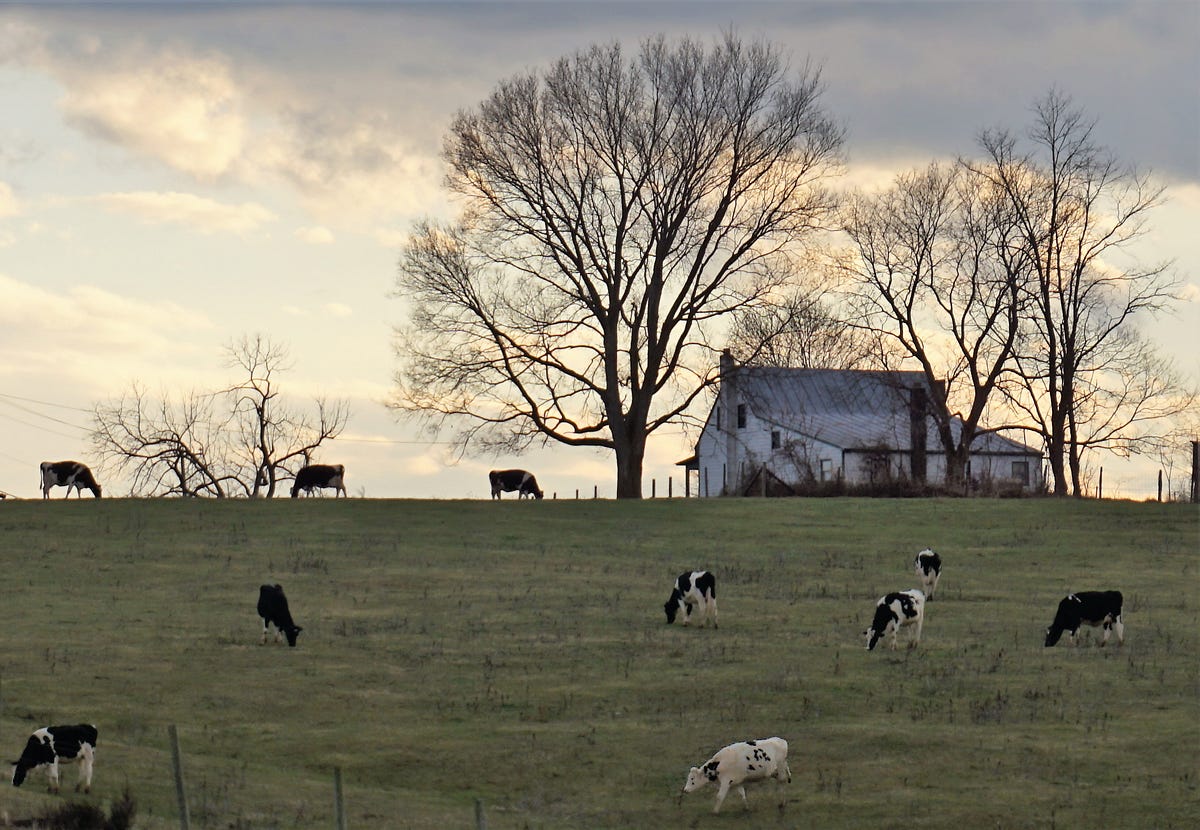 A More Holistic Approach to Achieving Universal Broadband in Rural ...