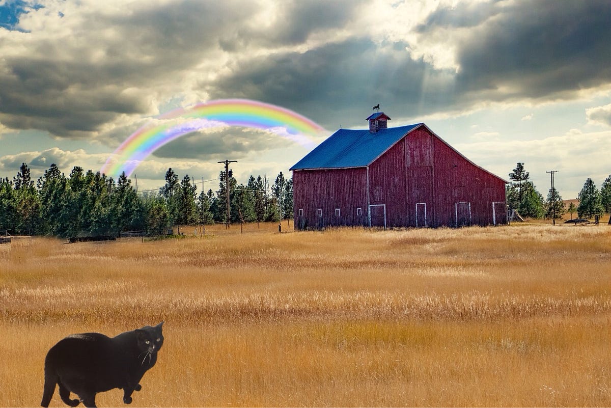 The Rainbow Bridge Has Surprises. I, admit, after slurping up the field