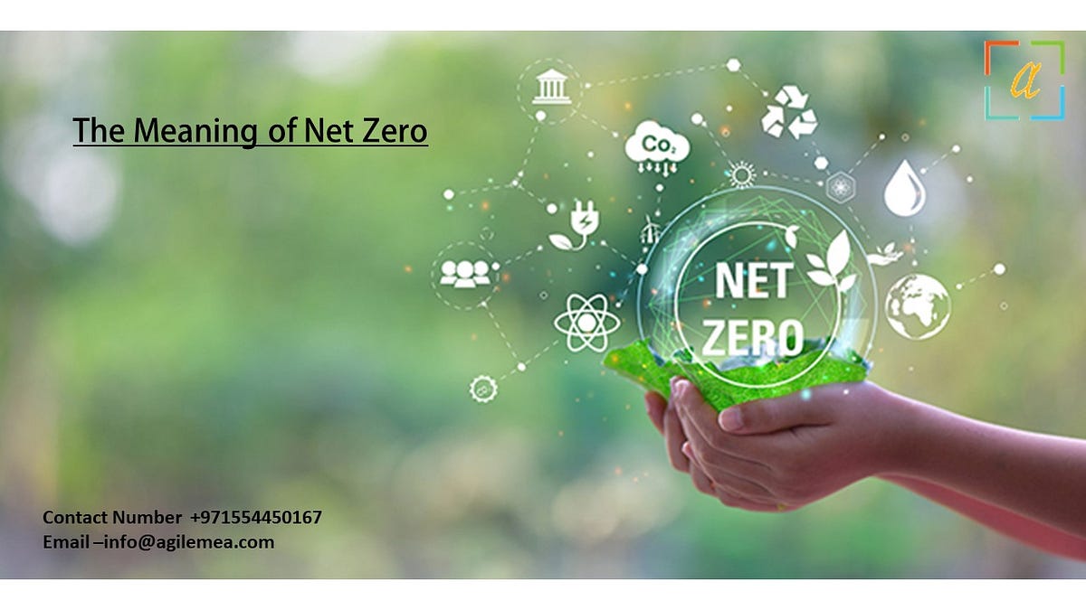 The Meaning of Net Zero. The term “ Net Zero consultancy”… by