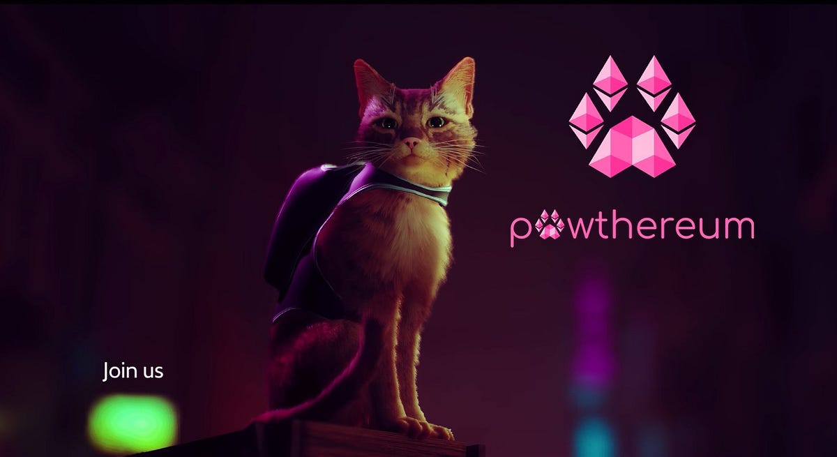 pawthereum crypto price