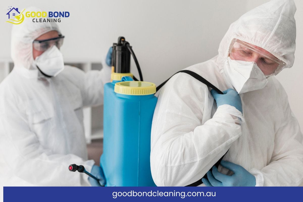 The Ultimate Guide For Best Pest Control in Brisbane: Protecting Your ...