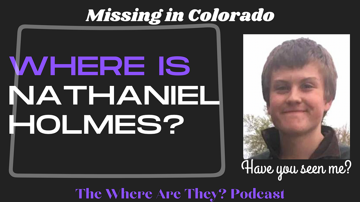 The Disappearance of Nathaniel Holmes by Jennifer The Mystery Box