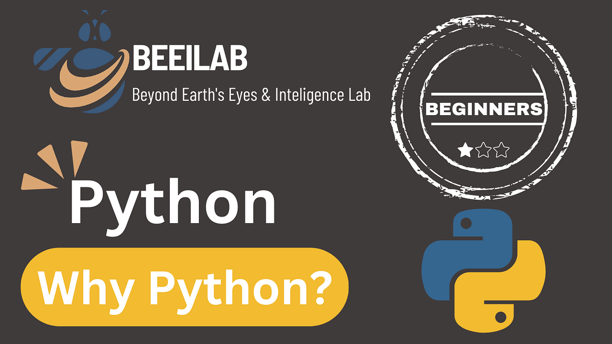 Unlocking the Power of Python: Answering Key Questions | by BEEILAB ...