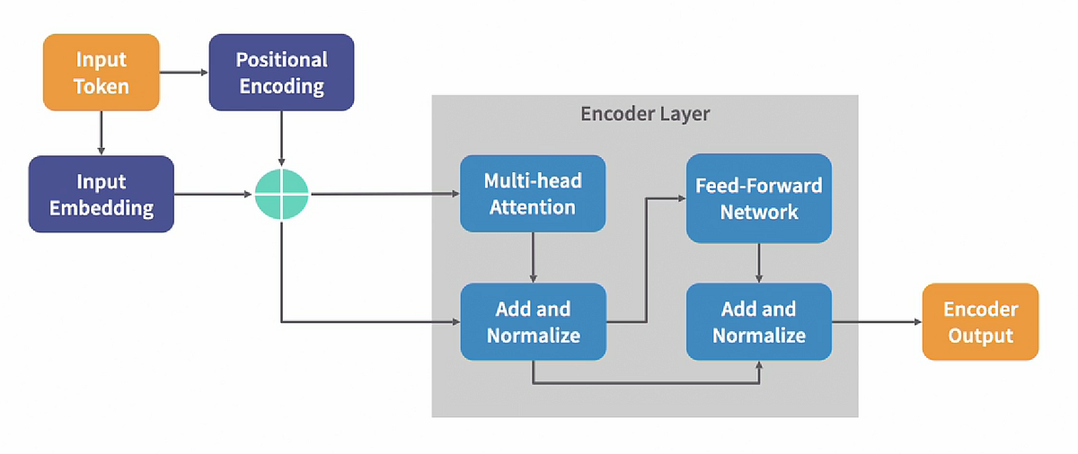 Encoder and Decoders in Transformers | by Nachi Keta | Medium