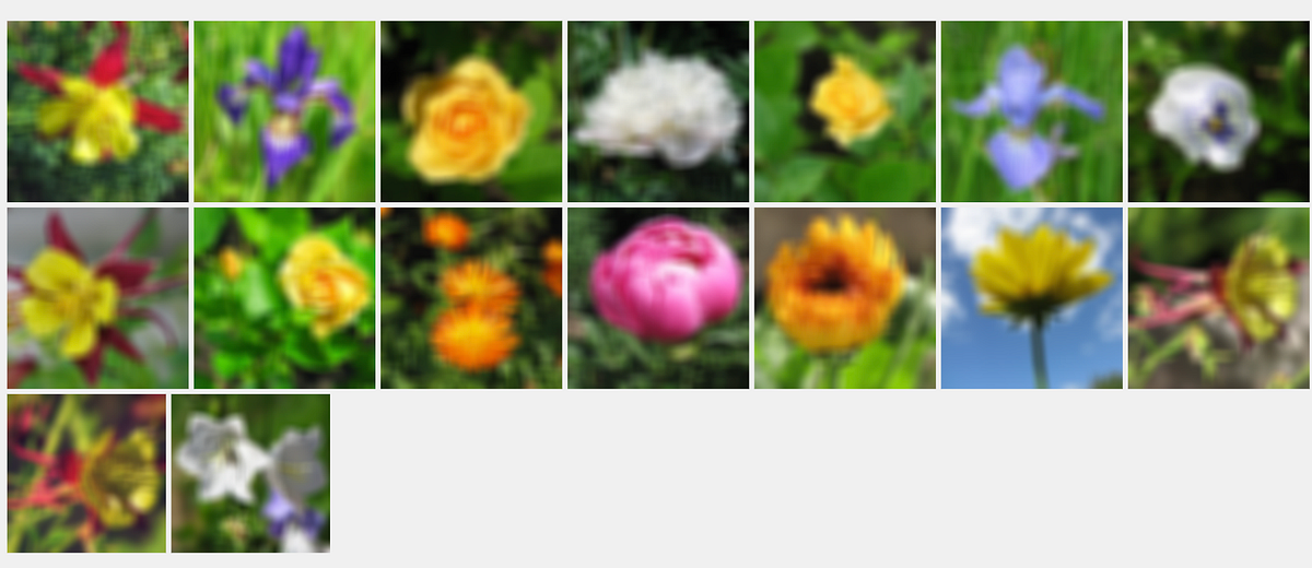 What Is Image Classification Model