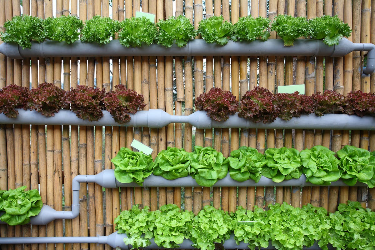 Designing a Renewable Food System