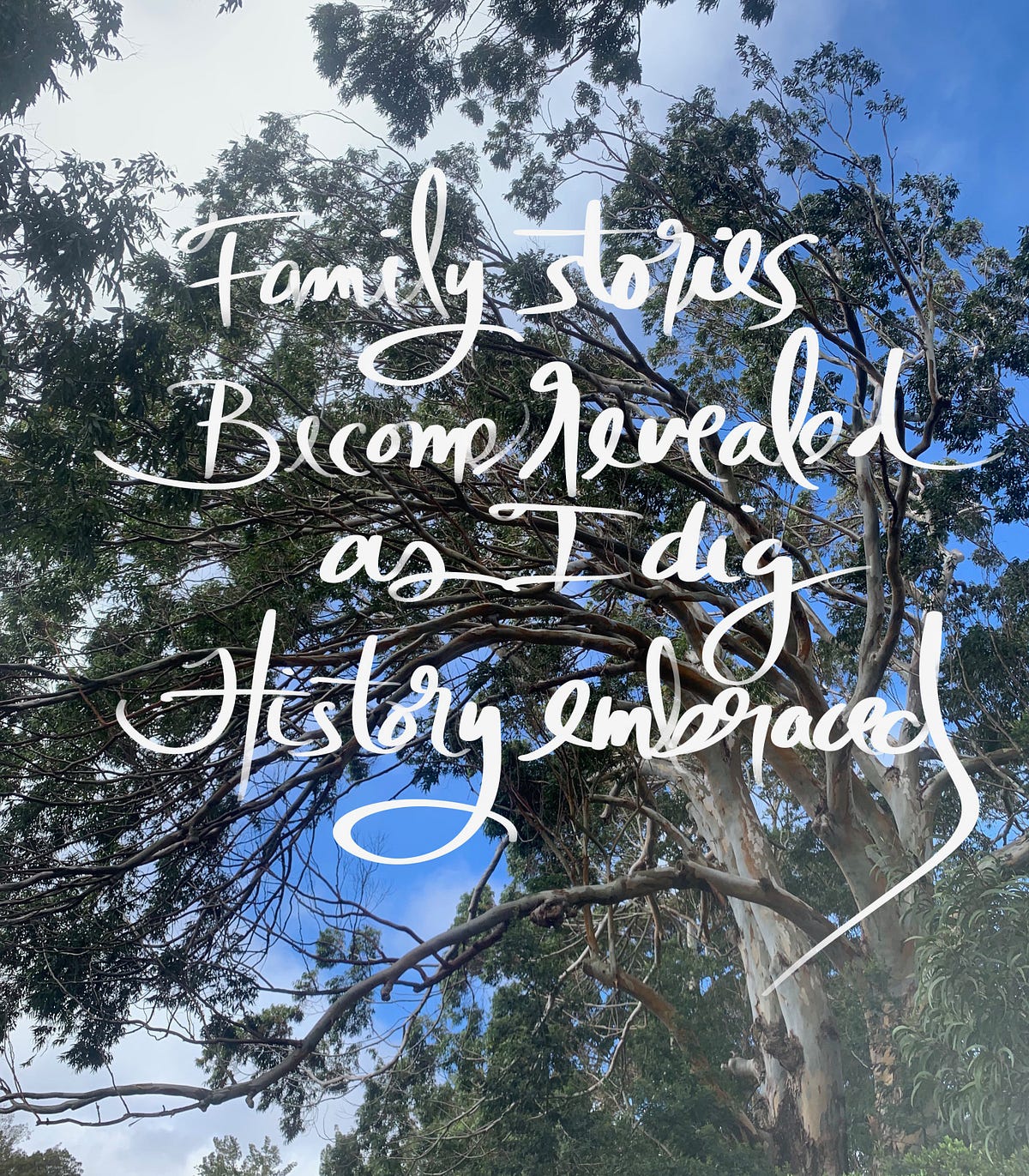 obsessed-with-family-history-why-are-stories-so-important-by-diane