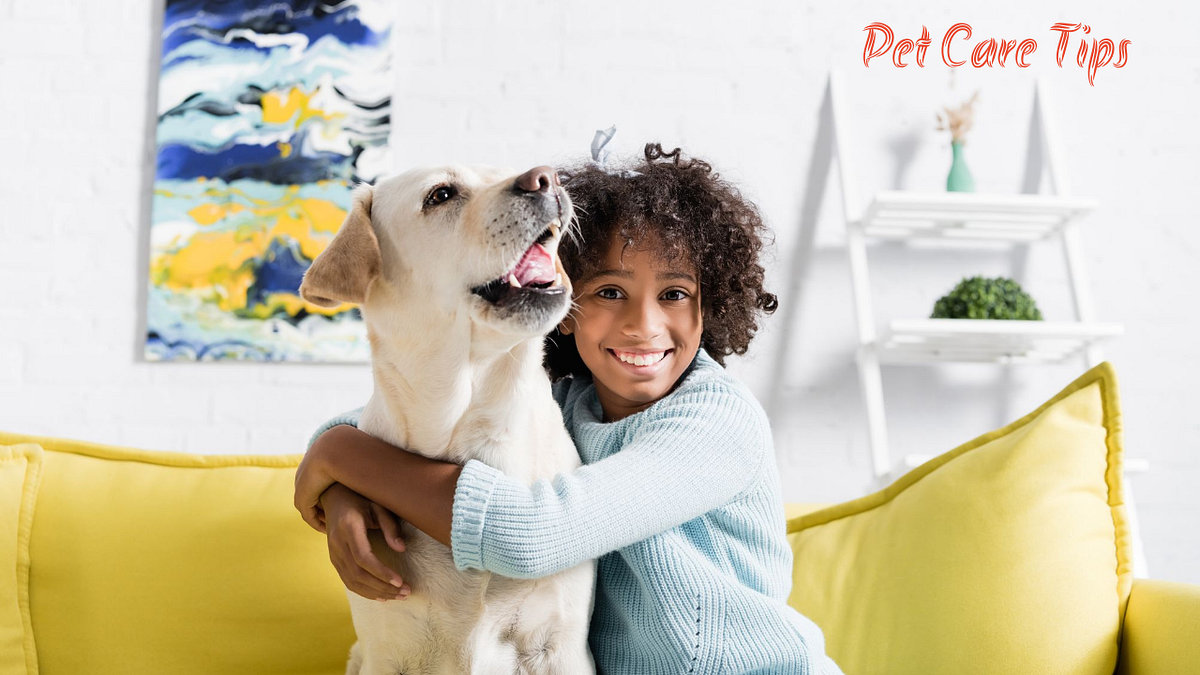 How to Stop a Dog from Barking Pet Care Tips Medium