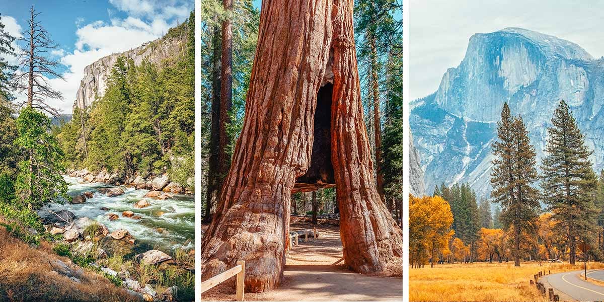 “Unveiling the Wonders of Yosemite National Park: A Comprehensive Guide to Visiting, Safety, and 