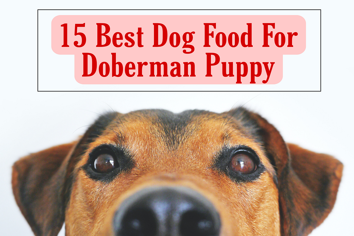 15 Best Dog Food For Doberman Puppy. The best dog food for your
