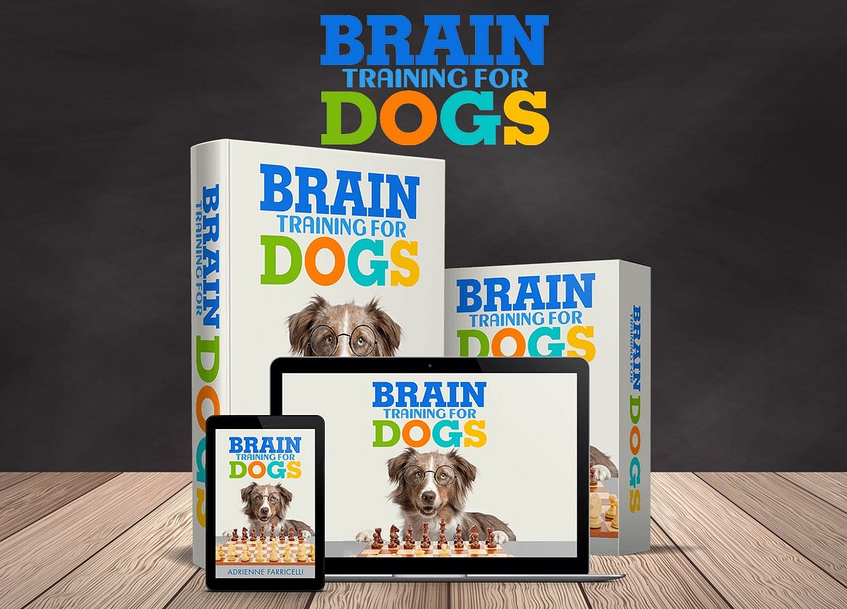 Brain Training for Dogs — Unlock Your Dog’s Full Potential with Our