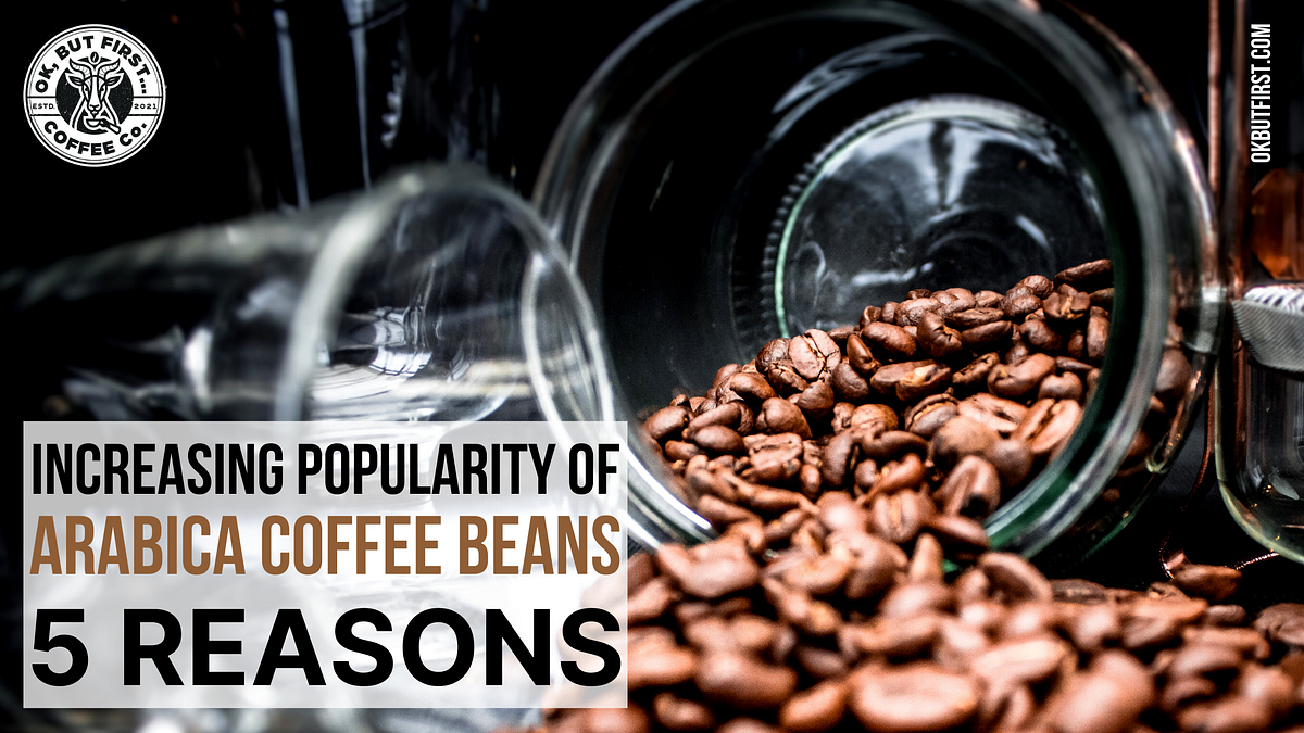 Arabica Coffee Beans 5 Characteristics That Make It Divine by