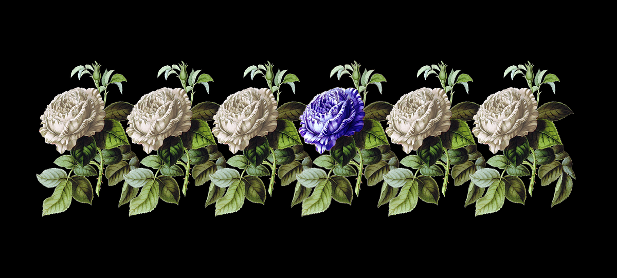 Image of: I’m Still Not Your Black Friend