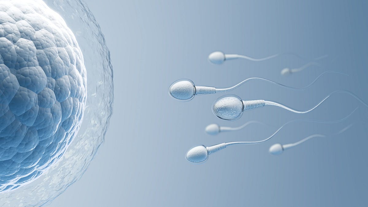 Testicular Sperm Extraction at Audubon Fertility — Revolutionizing Male