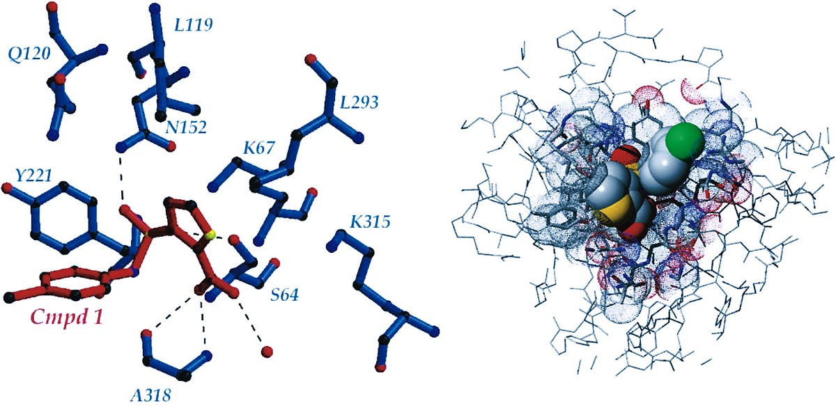 Structurebased drug design How we can use a Algorithm to