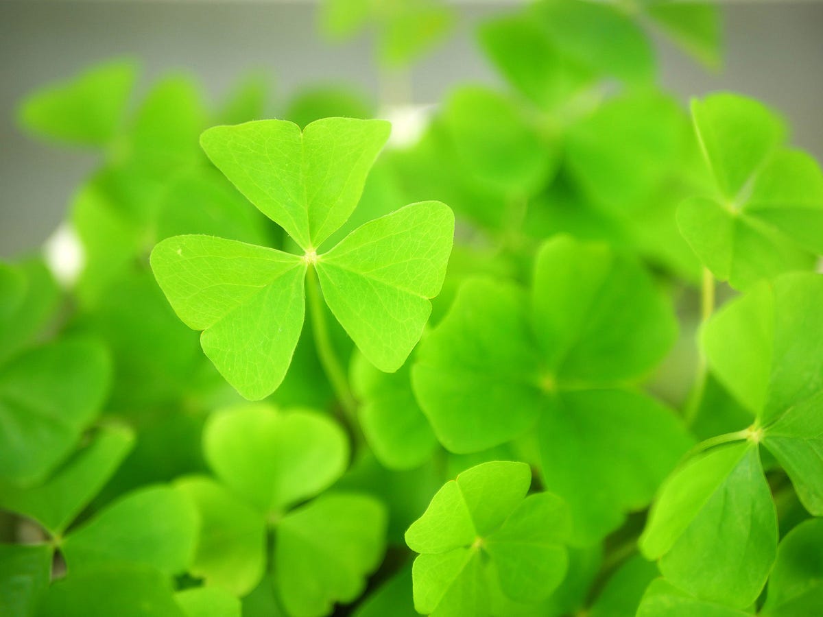 Irish Step Dance From Riverdance To Thunderous Footwork By Indirah
