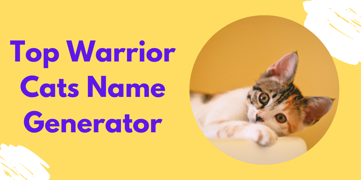 Warrior cat generator