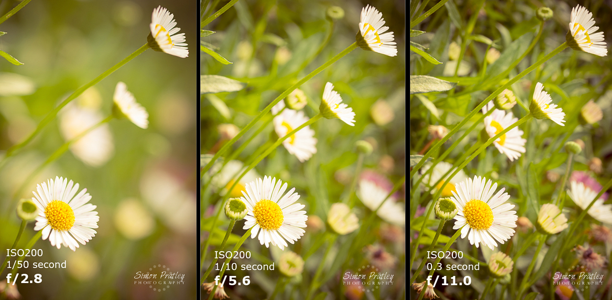 Medium. Aperture Determines the depth of field… by Emily White Medium