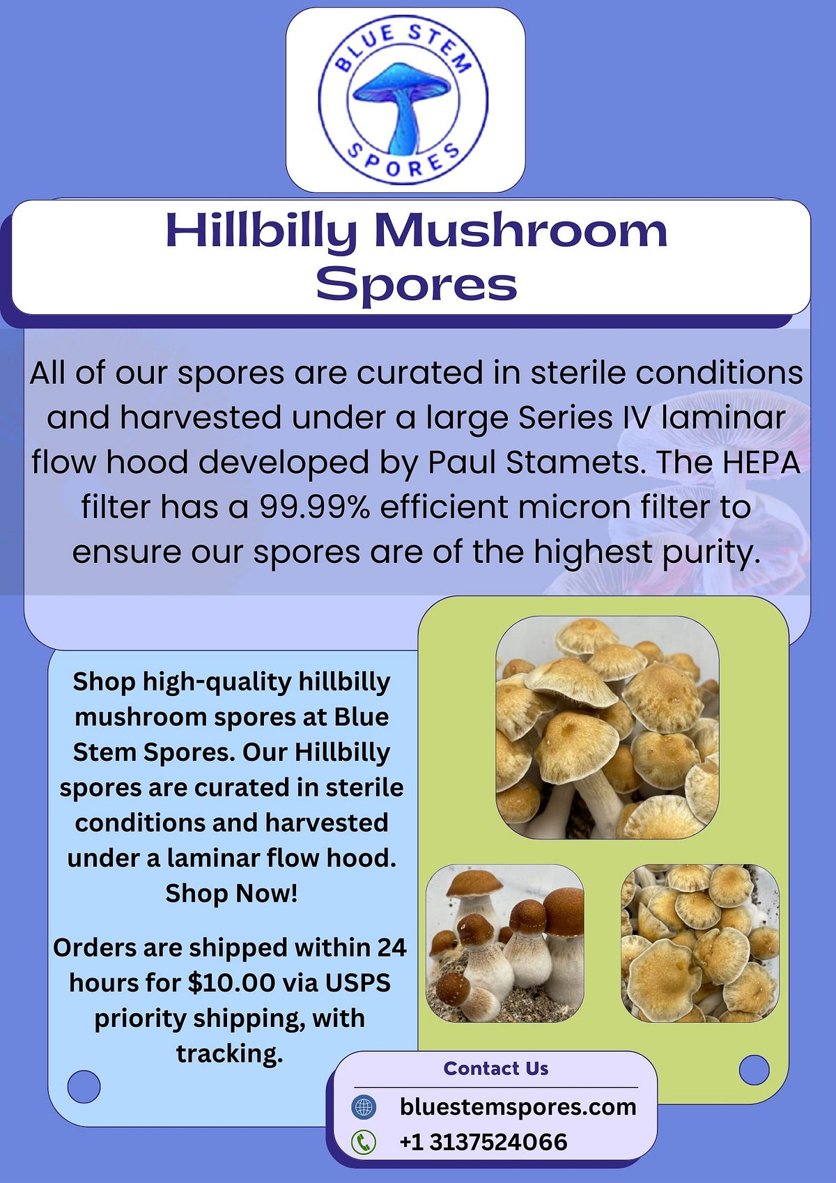 Buy Hillbilly Mushroom Spores Online | Blue Stem Spores - Blue Stem ...