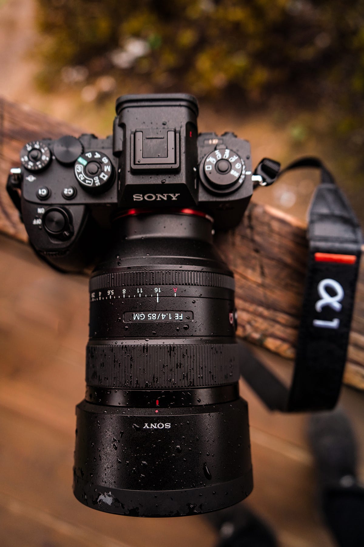 Reasons Why Mirrorless Camera Is Best For Landscape Photography by