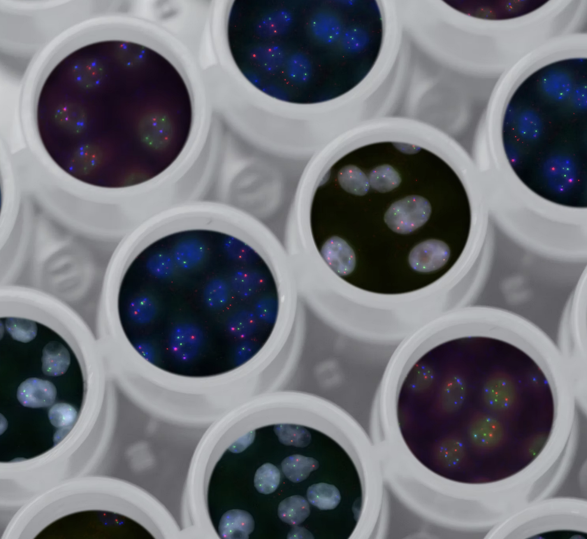 4 Typical Sampling Methods You Need for Data Science Jobs (Python Code ...