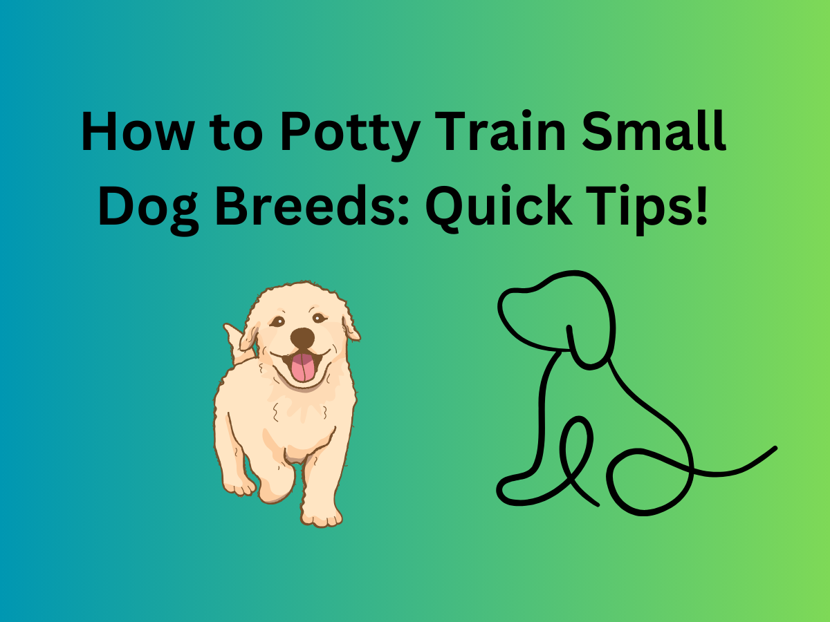 How to Potty Train Small Dog Breeds Gobackt pet Hub Medium