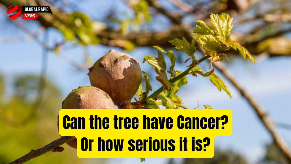 Can the tree have Cancer? Or how serious it is? by NanoSpy Gamer