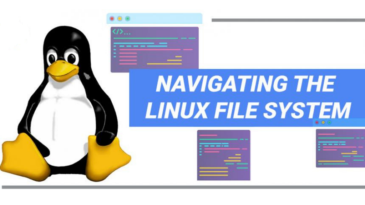 Day 5: Understanding the Linux File System Hierarchy for Cloud DevOps ...