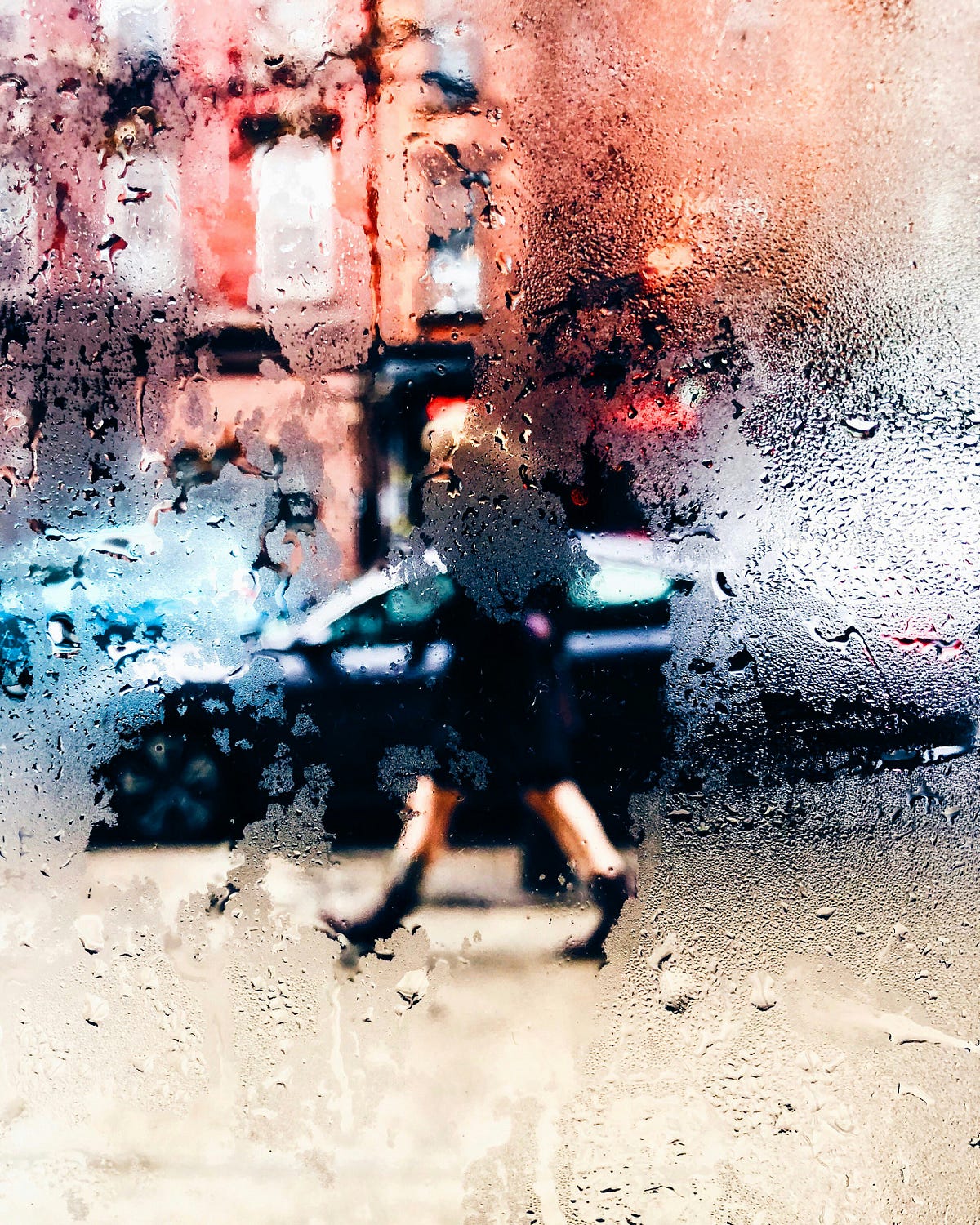"Walking Two Lines: A White Urbanite's Odyssey Through Suburbia and the ...