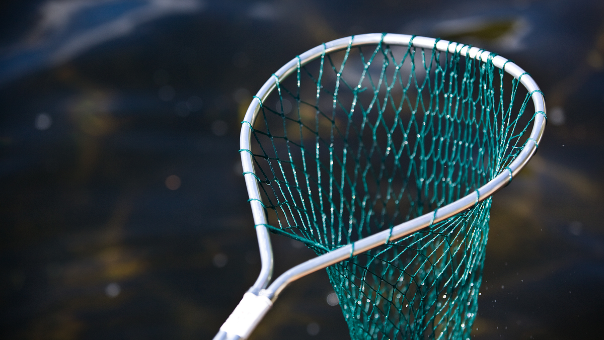 How Do Fishing Nets Work?. Fishing nets, essential tools for… by