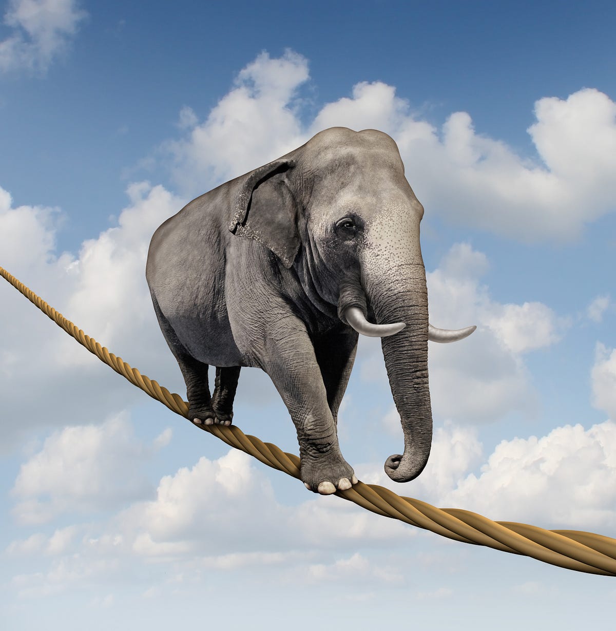 The Public Cloud Did Not Kill Hadoop — But Complexity Could | by Monte ...