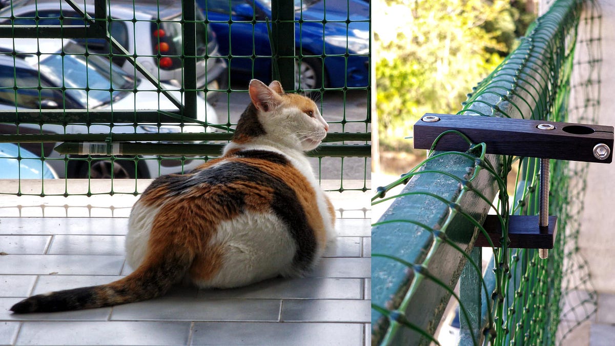 Building a safe 3rd floor balcony catio by Jose Antunes Cat Respect