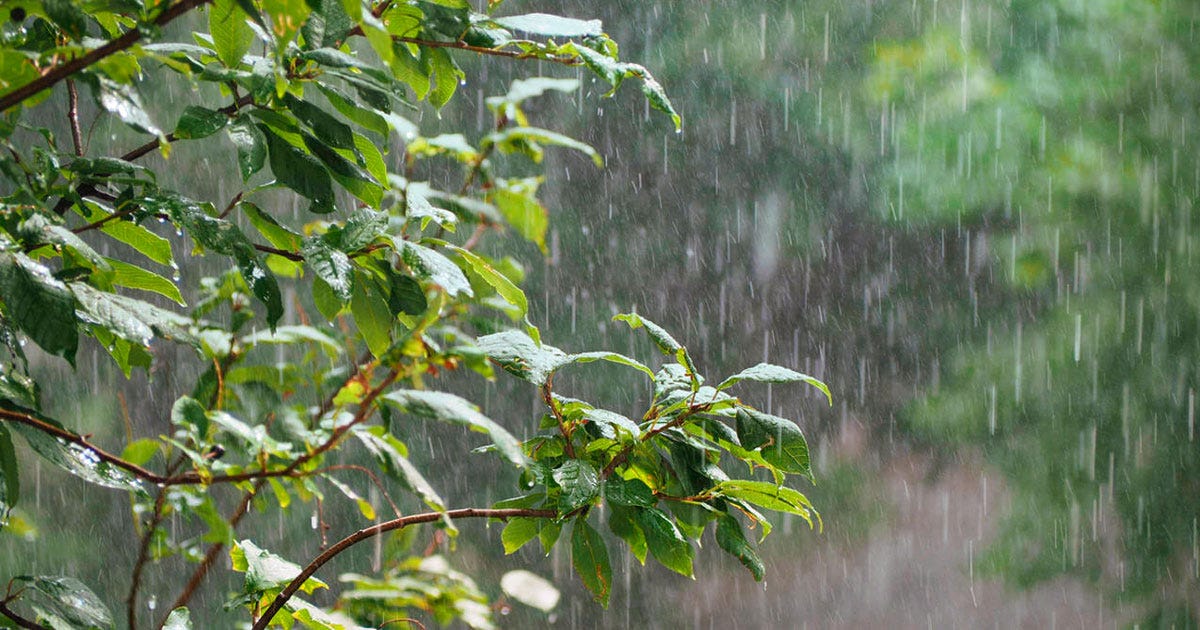 Domingo de lluvia