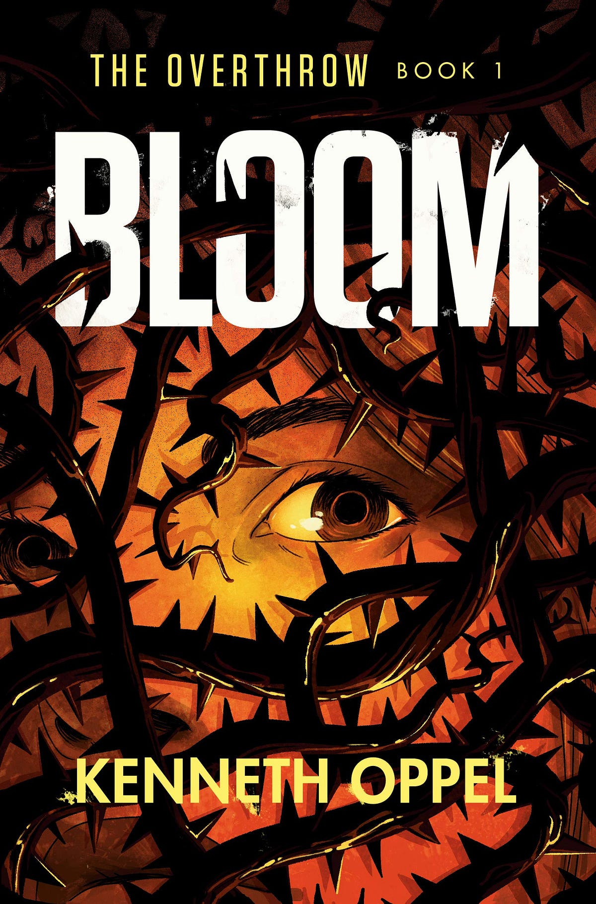 Bloom book review. Summary by Ahana Gauri Iyer Medium