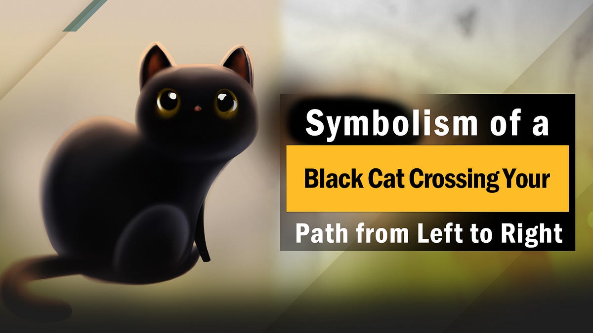 Symbolism of a Black Cat Crossing Your Path from Left to Right