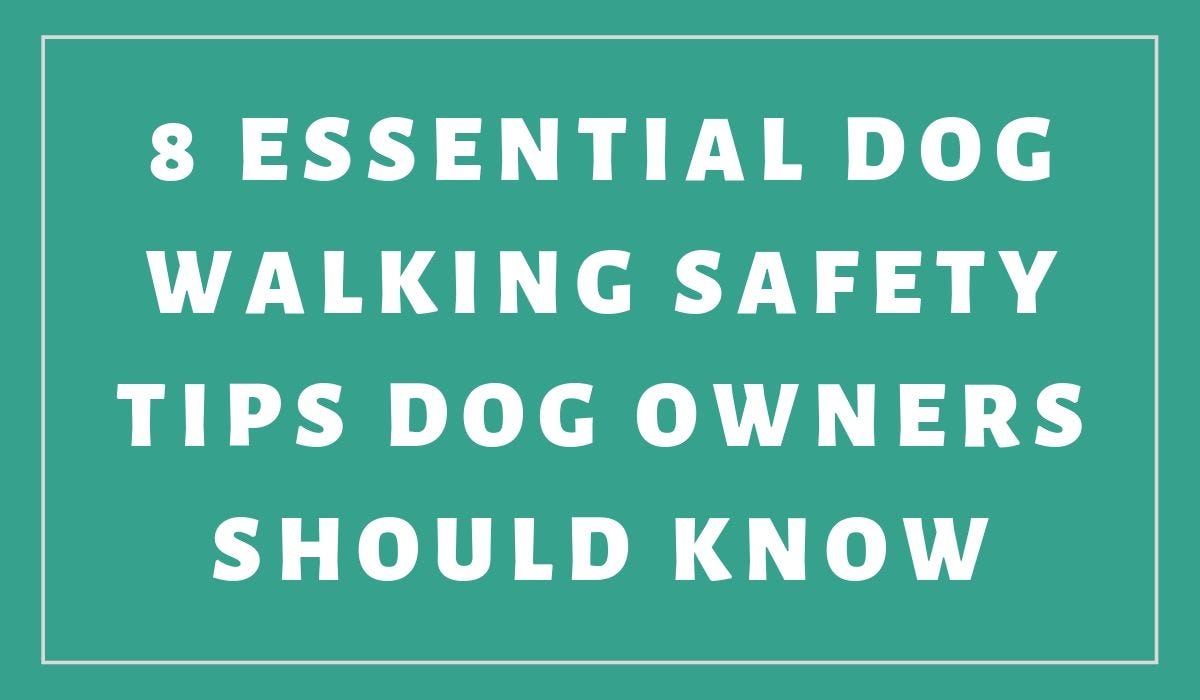 8 Essential Dog Walking Safety Tips Dog Owners Should Know by Pets