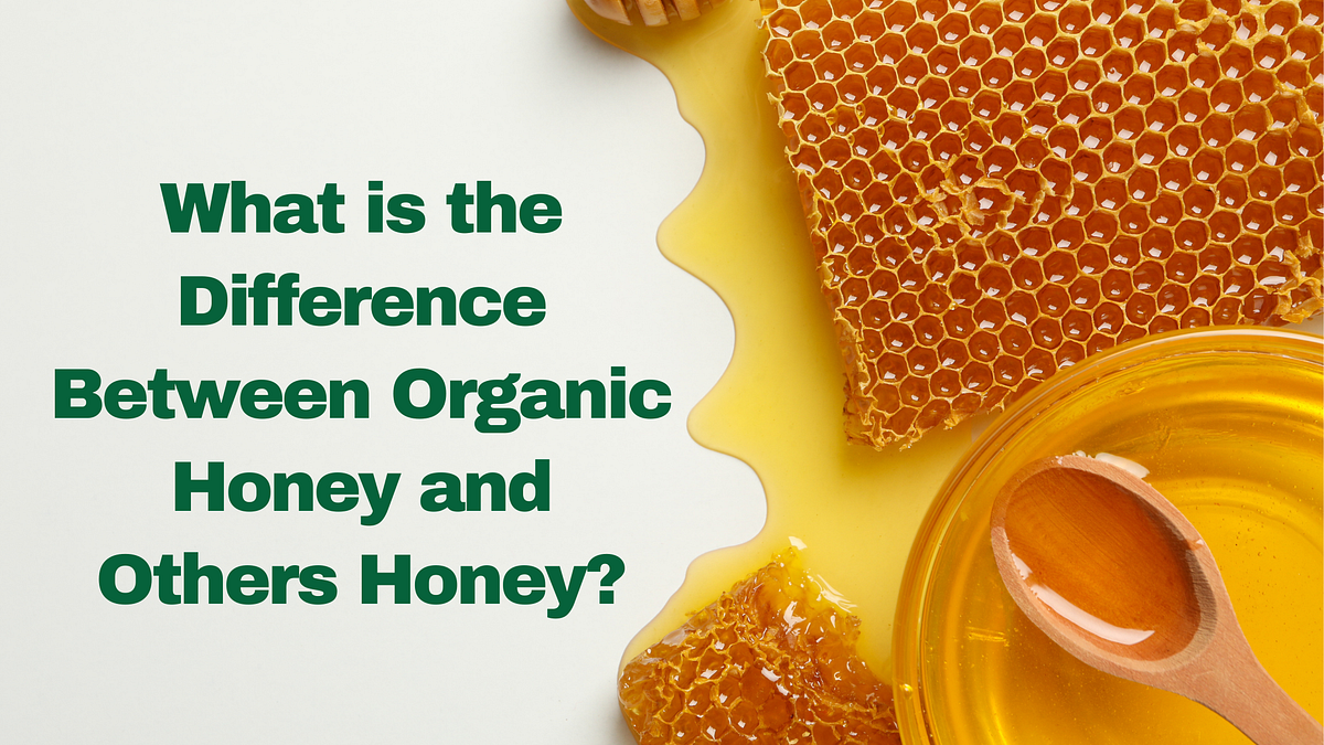 What is the Difference Between Organic Honey and Others Honey? by Angela jones Dec, 2023