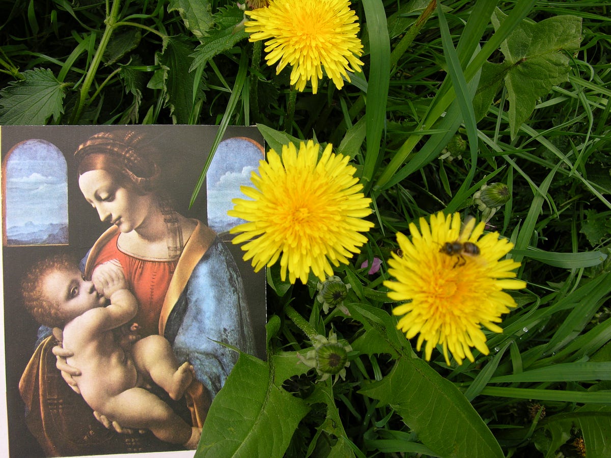 Вернісаж вільних картин. Любите травневі прогулянки рідним… | by Events ...