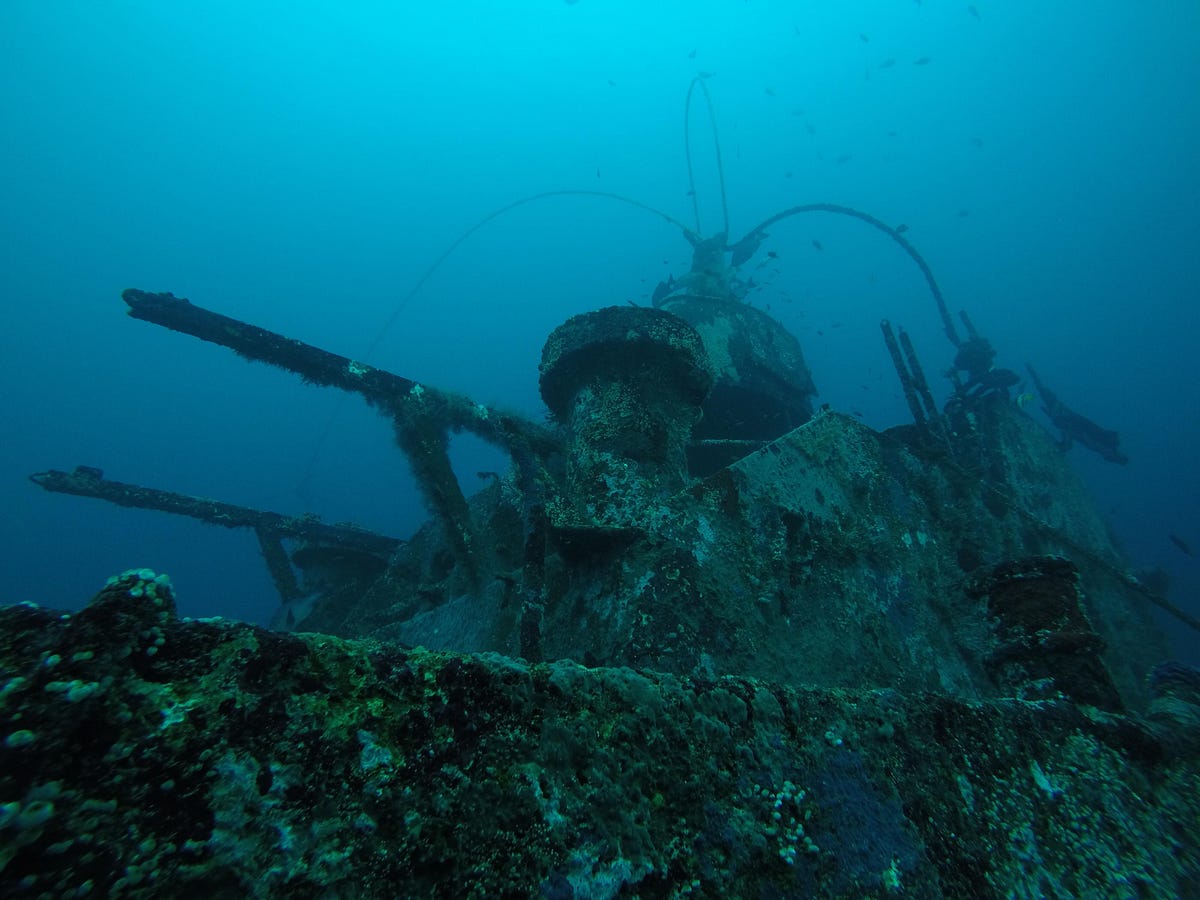 Exploring the Depths: Master Scuba Diver Trainer Course at PADI IDC ...